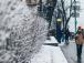Якою буде зима в Україні: кліматолог дала прогноз