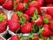 Українцям обіцяють дешеву полуницю: скільки зараз коштує ягода та коли чекати на обвал цін