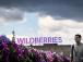Україна вивела з ладу 7 із 10 найбільших центрів Wildberries, - Міноборони